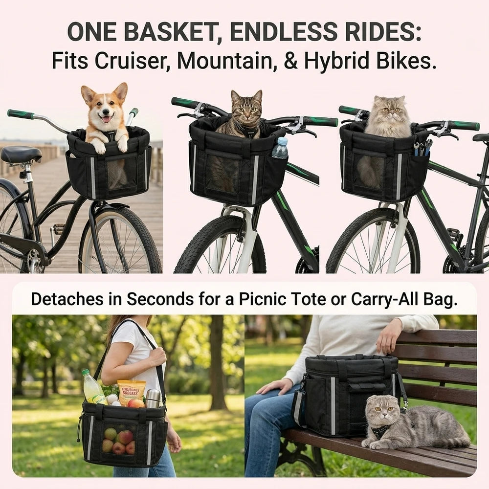 Grey cat commuting in the bike basket, the basket as a picnic tote, and a small dog carried at a farmers market
